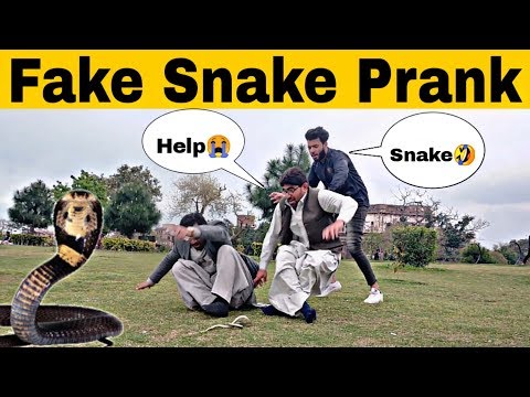 fake-snake-prank(gone-wrong)-|-prank-in-pakistan-|-decent-prank