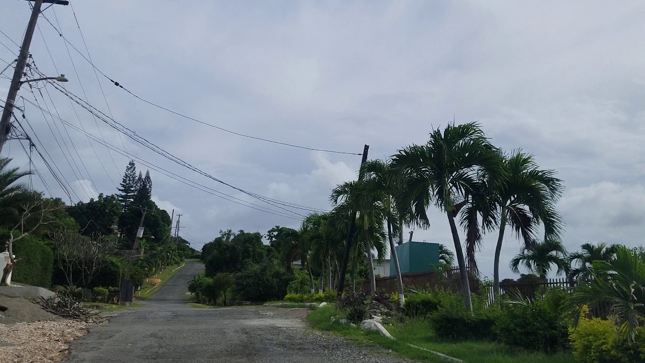 Driving in Beverly Hills Jamaica YouTube