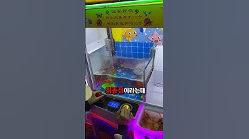 뽑기 기계의 최종전직...ㄷㄷ