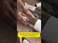 Waterproof Tape #chinafactory #construction#waterproofingcoating #waterprooftape