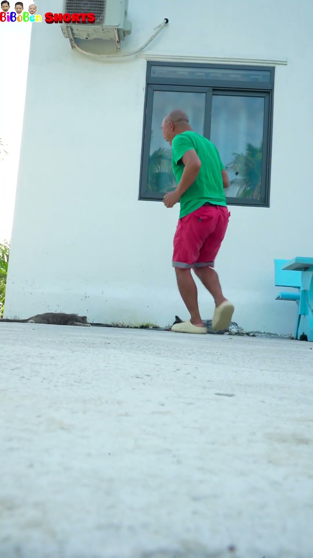 BiBoBen Shorts | OMG ?