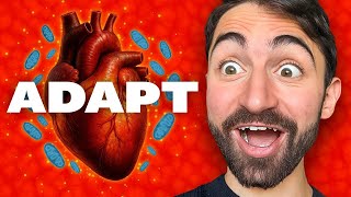 видео: Потрясающее открытие о митохондриях и здоровье сердца картинка: Потрясающее открытие о митохондриях и здоровье сердца