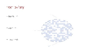 primary 3 connect plus unit 4 part 2