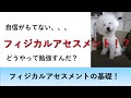 「フィジカルアセスメントってどう勉強する？」【新人看護師向け】フィジカルアセスメントの基礎と考え方について「ABCDアプローチ」臨床での患者さんの見方、異変に気付けるようになる為には