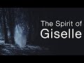 The Spirit Of Giselle The National Ballet Of Canada The Spirit Of Giselle The National Ballet Of Canada