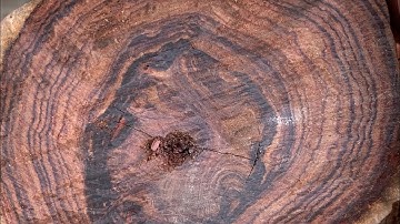 Review 5 khúc cẩm chỉ krôngpa vân cực víp 29kg đục tiện đều OK ạ