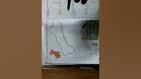 Standard 2nd maths chapter 2 counting groups part 3