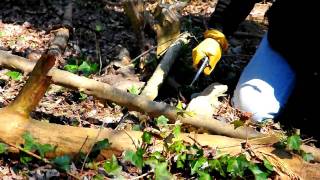 Busse NMFBM Chopping up a few logs after cutting down a tree.