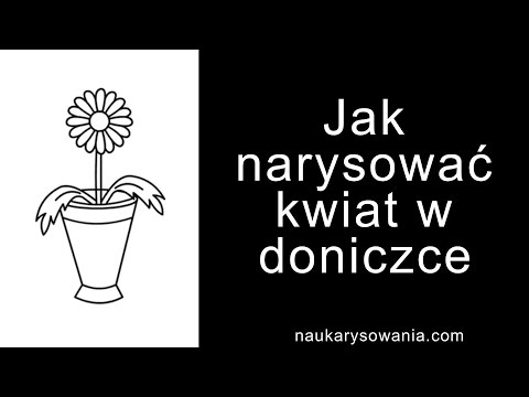 Wideo: Jak Narysować Kwiat W Doniczce