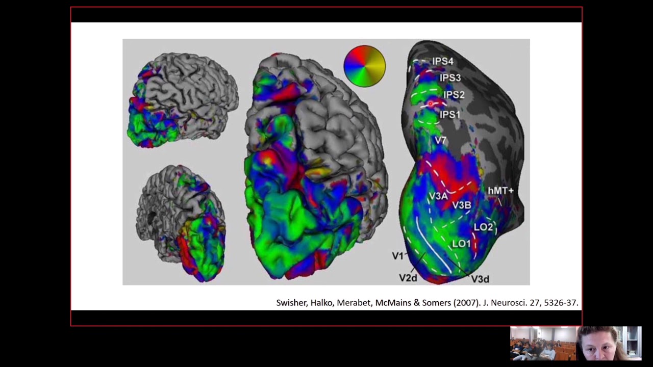 Perceptual awareness in the blind visual field: subjective reports and ...
