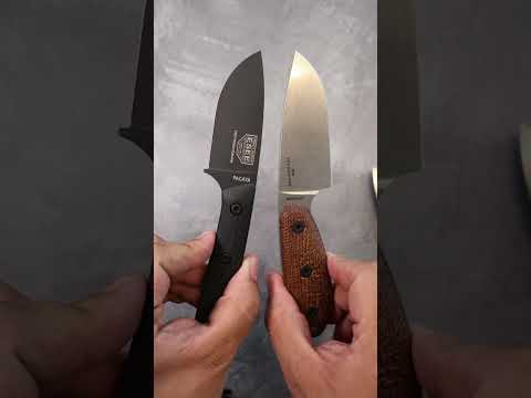 Esee Sencillo and Pacaya First Look