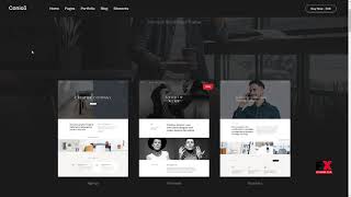Conico -” Responsive Multipurpose WordPress Theme        Aloysius Car Profile