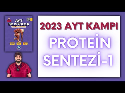 Genden Proteine-1 AYT Biyoloji Kampı Konu Anlatımı/ 12.Sınıf 2024 Tayfa