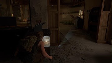 The Last of Us Part II | Hostile Territory - Part 1 (Stealth/Kill All) [Survivor]