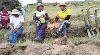 HAQUIRA: FLAUTAS ANDINAS (Fortunato Huamani B y David Huamani Z)