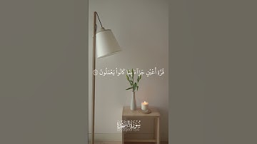 فلا تعلم نفس ما أخفى لهم -من سورة السجدة- القارئ إسلام صبحي