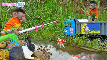 Luby Monyet Lucu Pergi Memancing Bersama Kelinci Mengendarai Mobil