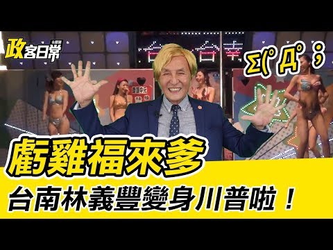 卡提諾《政客日常》#027期 台灣川普林義豐好虧雞~