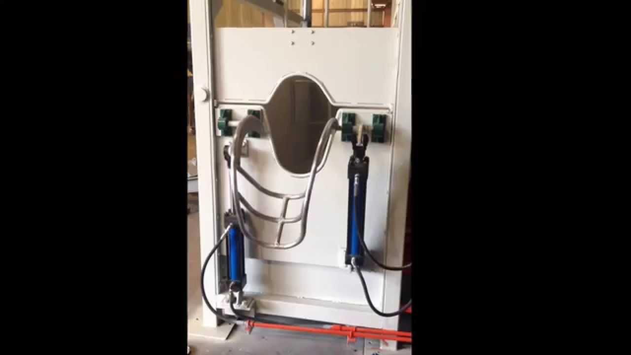 SPCC Cattle Knocking Box (Halal) YouTube