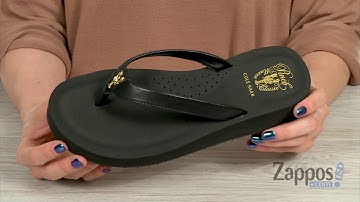 Cole Haan Pinch Lobster Flip-Flop SKU: 9121298