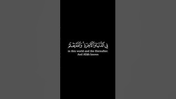 سورة النور _ الاية 19 _ تلاوة رائعة _ ❤️📖🤲