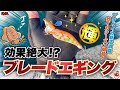 【エギング】秋イカシーズン遂に開幕！ブレードチューンで早速無双したい！✨アモラスver
