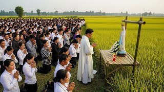 Download Lagu Pastor Sampai Berlutut! Detik-Detik Bunda Maria Menampakkan Diri di Tengah Sawah MP3