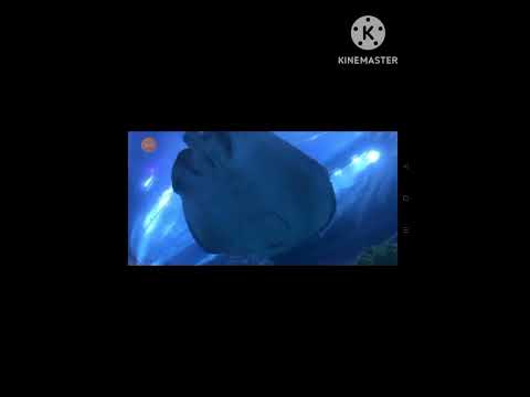 Dubai Underwater aquarium zoo  # short # viral