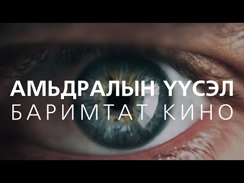 Видео: Муур хэдэн амьдралтай вэ? Түүх ба баримтууд