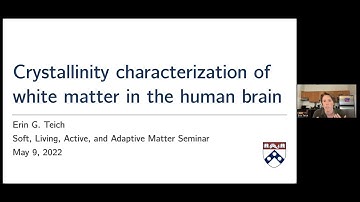 Dr. Erin Teich: Crystallinity characterization of white matter in the human brain