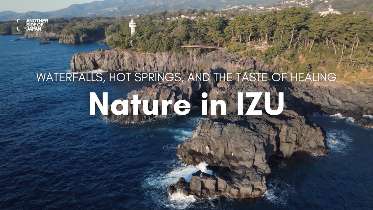 SHIZUOKA | A Healing Moment with Nature in Izu - YouTube
