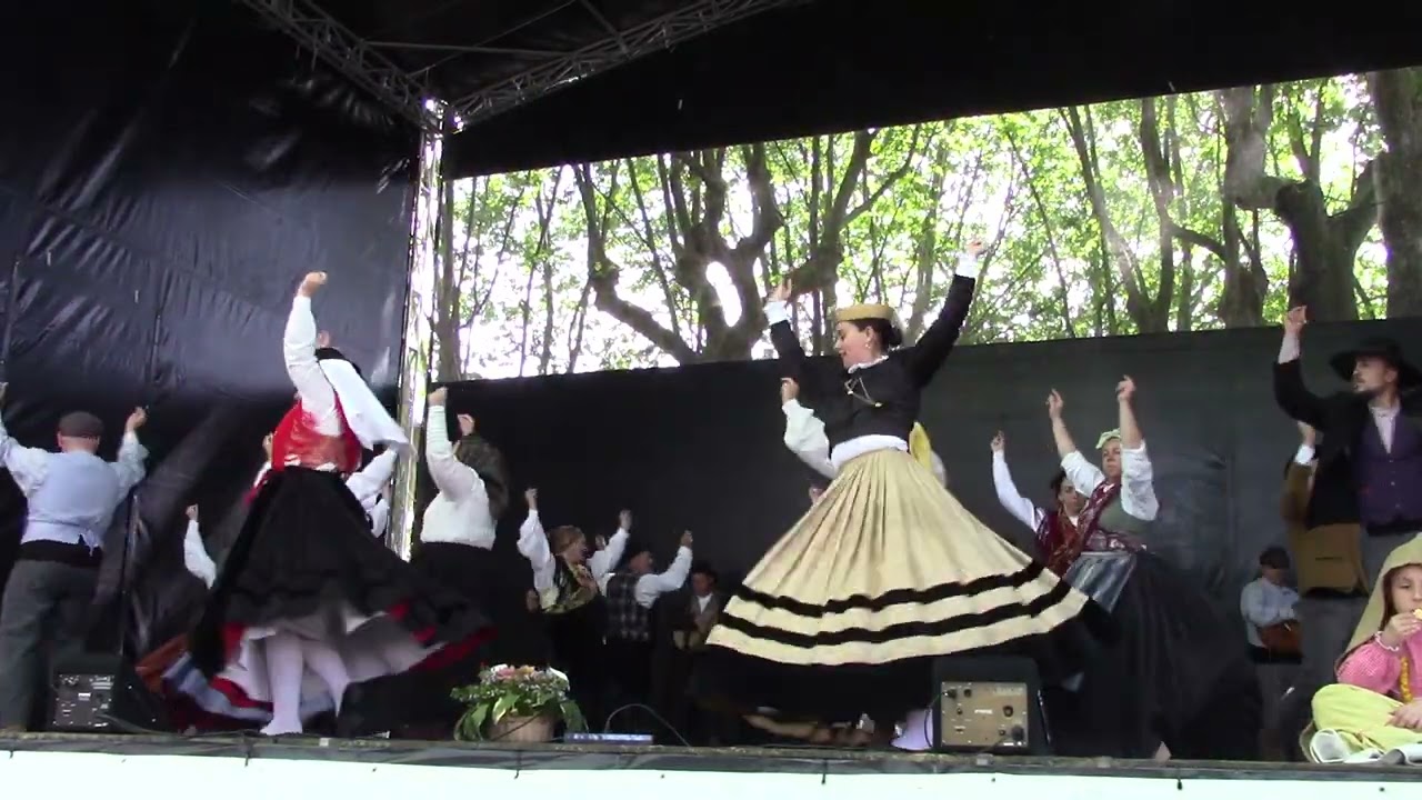 RANCHO TÍPICO DE S MAMEDE INFESTA -- MATOSINHOS