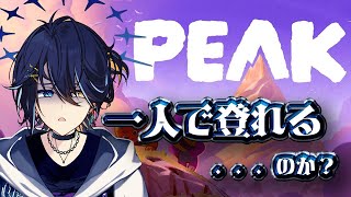 【#PEAK】最近ソロ登山する人多いけど登れるもんなの、、！？【鴉紋ゆうく／のなめぷろだくしょん 】