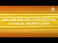 You Are The One Instrumental Saluyot Combo - COVER BY  |   MARVIN AGNE