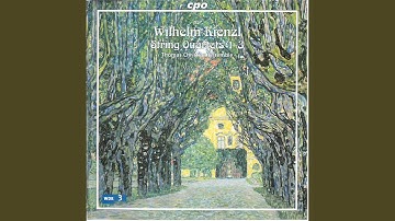 String Quartet No. 1 in B Minor, Op. 22: IV. Allegro energico e molto vivace