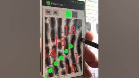 Ridge Count Software