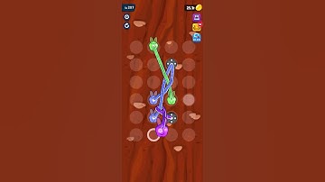 TWISTED TANGLE Level 207 Gameplay #Ios/Android