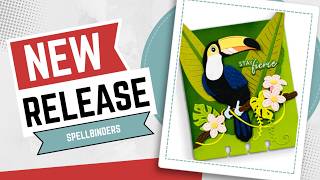 New release by Spellbinders - Torn Edges Cardlab Etched dies