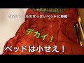 【Coleman】秋冬に使用できる！オススメシュラフ！