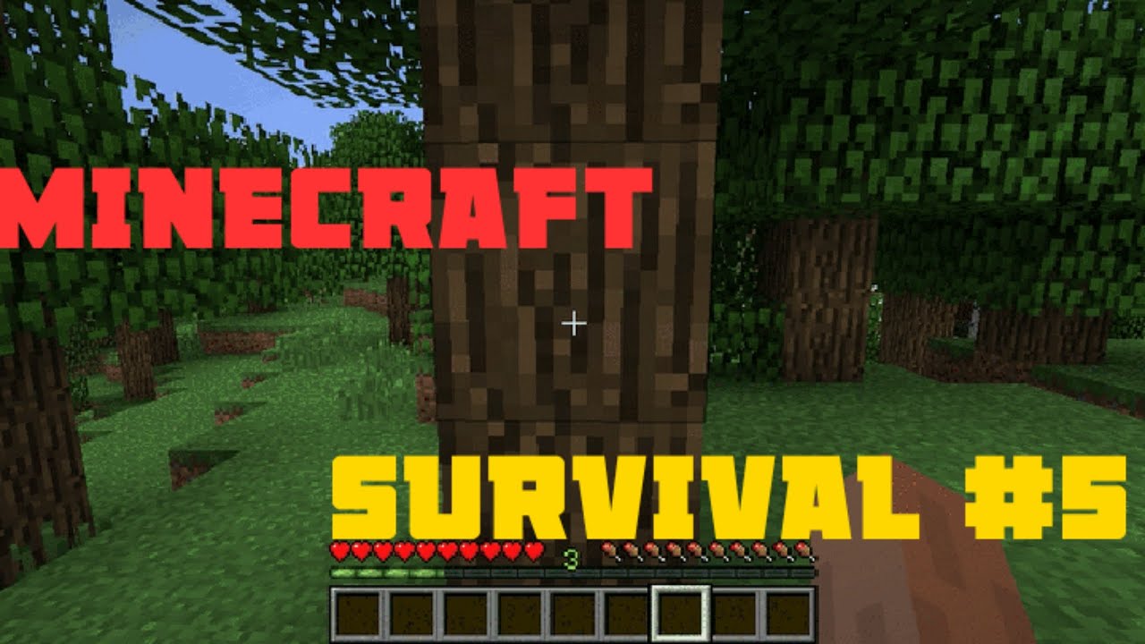 MINECRAFT SURVIVAL EPISODE 5 (COLLECTING RESOURCES) - YouTube