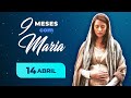 9 meses com Maria - 14 de abril | Padre Mario Augusto Sartori