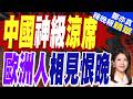東方神墊征服歐陸  中國涼席賣到斷貨｜中國神級涼席 歐洲人相見恨晚｜張延廷.栗正傑.李永萍深度剖析【鄭亦真辣晚報】精華版 @中天新聞CtiNews