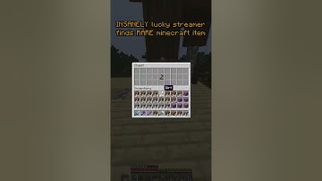 This Streamer Found The Rarest Minecraft Item