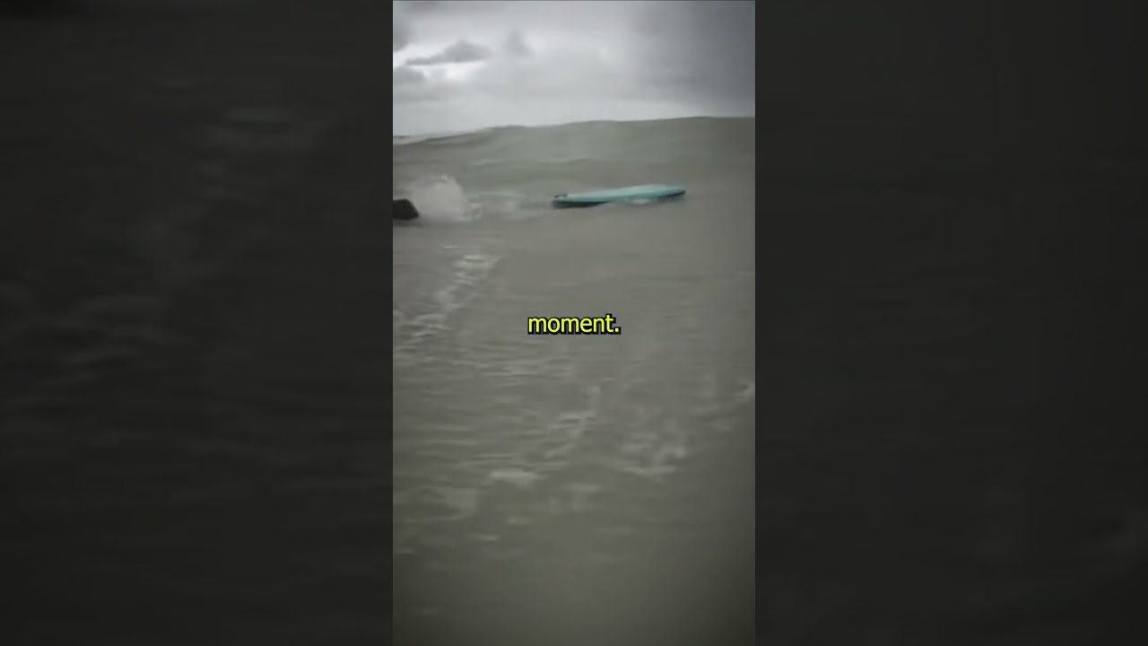 Deadly Shark Attack Caught On Go Pro Shorts