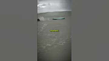 Deadly Shark Attack Caught On Go Pro Shorts 