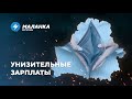 📍В тюрьмах мучают холодом / Дефицит учителей / Тяжёлые последствия пандемии