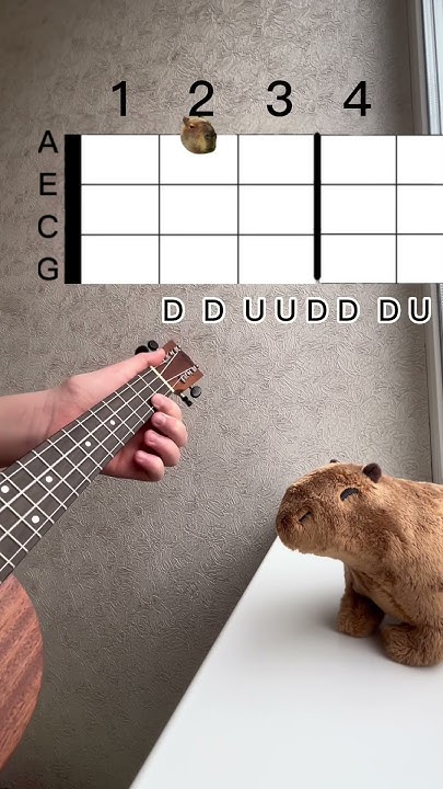 How To Play The Loser On Ukulele Zach Farache-The loser easy ukulele tutorial with capybara #ukulele #