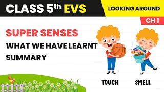 What We Have Learnt Summary - Super Senses | Class 5 Environmental Studies Chapter 1 | CBSE 2024-25