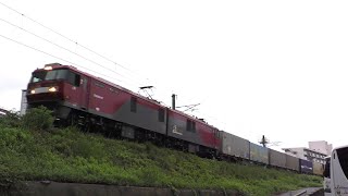 【JR貨物】遅1055レ EH500-67 大型コンテナ多数積載