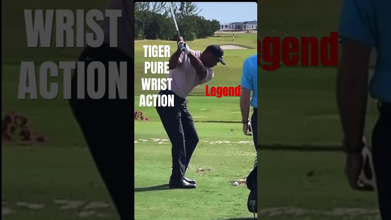 TIGER WOODS PURE WRIST ACTION SILKY 